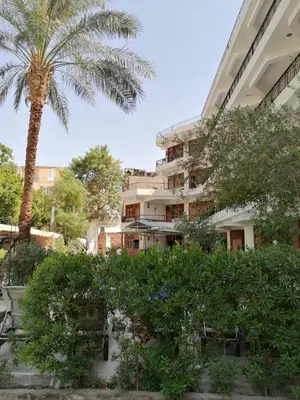 a building with a palm tree and some plants at Rezeiky Hotel & Camp 您在盧克索的第二個家 in Luxor