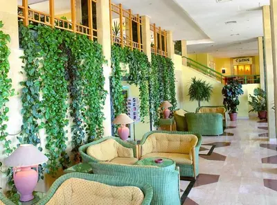 a lobby with a green wall with plants at Sea Garden Hotel in Hurghada