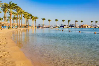 a beach with palm trees and houses on it at Continental Hotel Hurghada in Hurghada