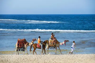 a group of people riding horses on the beach at Concorde Moreen Beach Resort in Abu Dabab