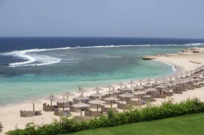 a beach with many umbrellas and the ocean at Concorde Moreen Beach Resort in Abu Dabab