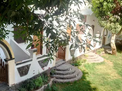 a building with a tree and some stairs on it at Maghrabi's Guest house in Aswan