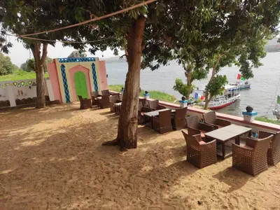 a group of tables and chairs under a tree next to the water at Maghrabi's Guest house in Aswan