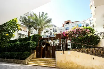 a building with stairs and palm trees and flowers at Solider Art in Hurghada