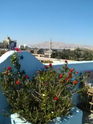 a planter with red flowers on a blue wall at Bob Marley House Sherief Hotel Luxor in Luxor