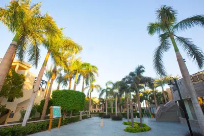 a row of palm trees in front of a building at Stella Gardens Resort & Spa, Makadi Bay in Hurghada