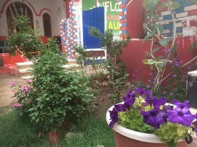 a garden with purple flowers and plants in front of a building at Sunflower Guest House Luxor West Bank in Luxor