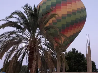 a hot air balloon next to a palm tree at Sunflower Guest House Luxor West Bank in Luxor