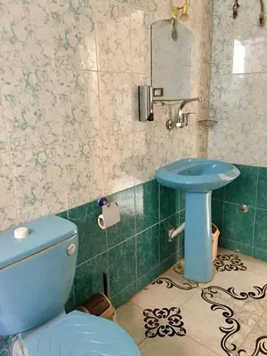 a bathroom with a blue toilet and a sink at Sunflower Guest House Luxor West Bank in Luxor