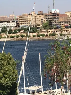 a boat in the water with a city in the background at Nubian Paradise in Aswan