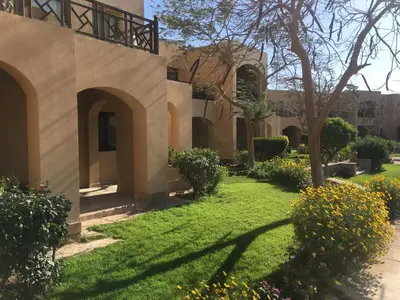 a courtyard of a house with grass and flowers at Pool View One bedroom Apt - B103 in Hurghada