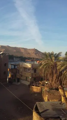 a building with a palm tree and a mountain in the background at King Nubian House in Aswan