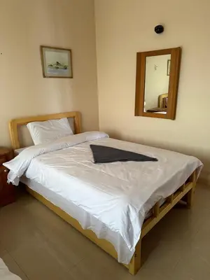 a bedroom with a large bed with a mirror at Harmony House Luxor in Luxor