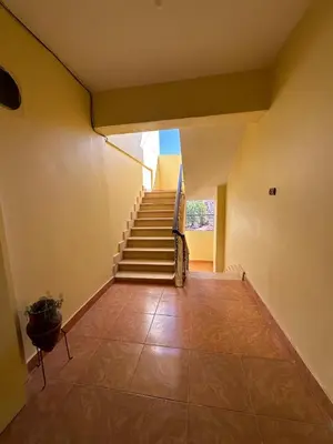 a room with stairs and a potted plant on the floor at Eka- Guesthouse in Aswan