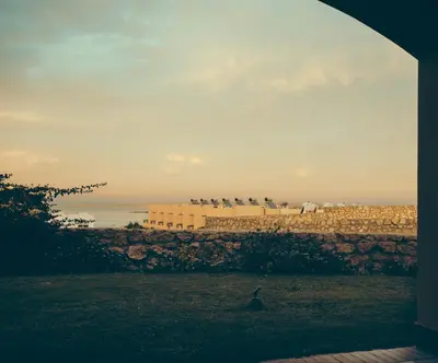 a bird sitting in the grass in front of a building at Studio at Hurghada- NS2 in Hurghada