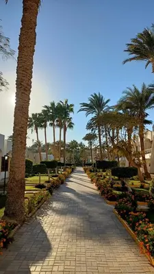 a walkway with palm trees and flowers in a park at Regina Resort and Aqua Park Hurghada in Hurghada