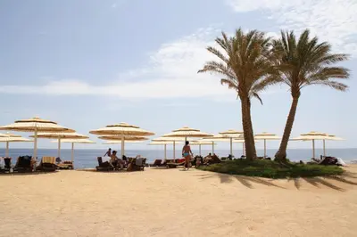 a group of people sitting under umbrellas on a beach at JAZ Neo Reef Marsa in Coraya Bay