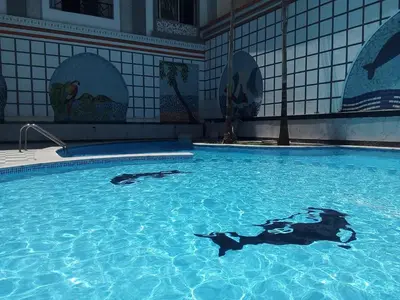 a swimming pool with a shark in the water at apartman Eva in Hurghada