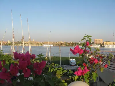 a view of a body of water with pink flowers at Gîte Hôtel Ramla Louxor in Luxor