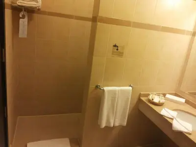 a bathroom with a shower and a sink at JAZ Neo Ivory in Hurghada