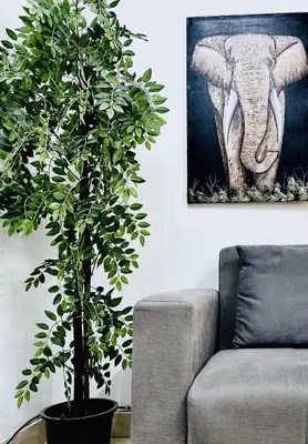 a potted tree in a living room next to a couch at Elephant House with Sea View in Hurghada