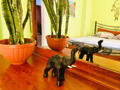 two figurines of elephants on a wooden floor next to plants at Elephant House with Sea View in Hurghada