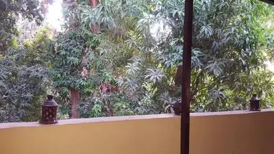 a wall with trees in front of a window at Kindaka amany in Aswan