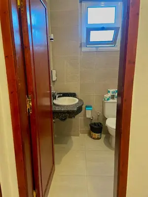 a bathroom with a sink and a toilet at Nile Panorama Hotel & Restaurant in Luxor