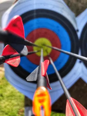 a close up of a target with red arrows at TUI MAGIC LIFE Kalawy in Hurghada