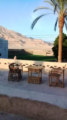 a table and chairs and a palm tree in the desert at Desert Rose Guesthouse in Luxor