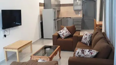 a living room with two couches and a tv at New Modern Flats in Luxor