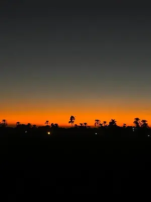 a sunset with palm trees in the foreground at Dar Lina Guesthouse Luxor in Luxor
