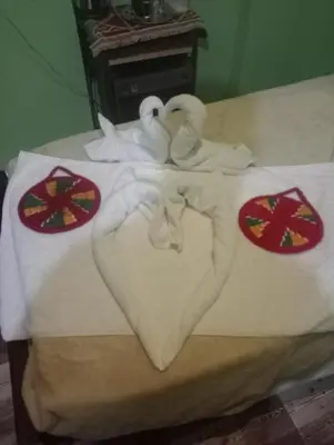 two swans making a heart on a bed at NeNeKaTo Nubian House in Aswan