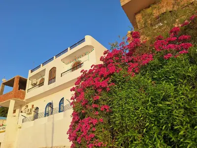 a building with pink flowers on the side of it at NOBATiA Guest House in Aswan