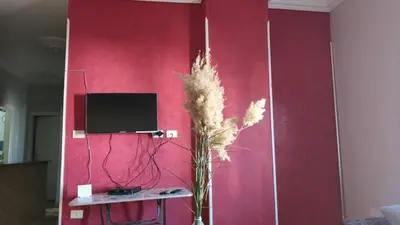 a red wall with a tv and a table with a plant at IKEA Flats in Hurghada