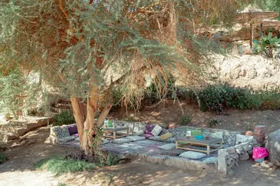 a couch sitting under a tree in a yard at Krouma Camp & Ecolodge in Aswan