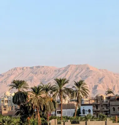 a group of palm trees in front of a mountain at Al Ramla Guest House in Luxor