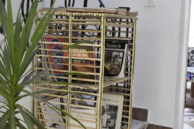 a gold book rack with books on it next to a plant at Tara Apartments in Luxor