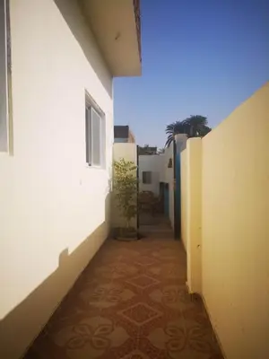 an alley with a plant in the middle of a building at Sinderella Private Pool Villa in Luxor