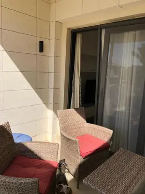 a dog is sitting in chairs on a balcony at G cribs B1F2 in Hurghada