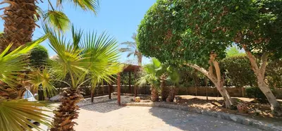 a garden with palm trees and a fence at Nayah Stays, Lagoons beach, Paradise 3 ensuite with private pool in El Gouna