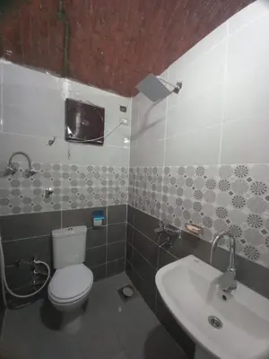 a bathroom with a toilet and a sink at Kafana Guest House Nile View in Aswan
