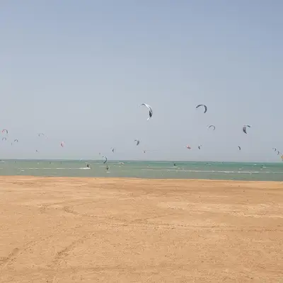 a group of birds flying over the beach at Elgouna Heart Mangroovy new 2bedrooms in Hurghada