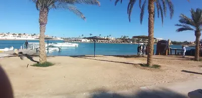 a beach with palm trees and a boat in the water at Downtown ElGouna Excellent Location in Hurghada