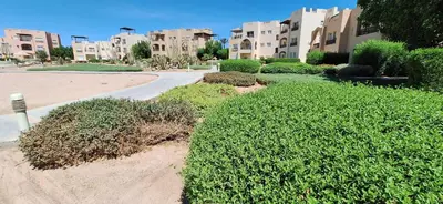 a couple of bushes in front of a building at Waterside Apartments, El Gouna - 1Bd Ground Floor in El Gouna