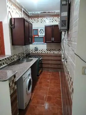 a small kitchen with brown cabinets and a dishwasher at Nile queen Apartments for Rent in Luxor