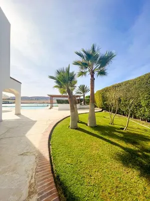 two palm trees in the grass next to a pool at Luxury 4 bedroom villa with a heated pool in Hurghada