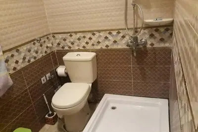a small bathroom with a toilet and a shower at Private House with Garden and terrace in Aswan in Aswan