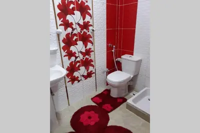 a bathroom with a toilet and red flowers on the wall at Private House with Garden and terrace in Aswan in Aswan