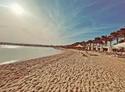 a sandy beach with umbrellas and chairs and the ocean at Sunrise Tucana Resort Grand Select in Hurghada